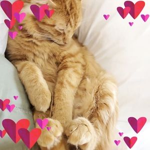 Meet your Posher, Erin